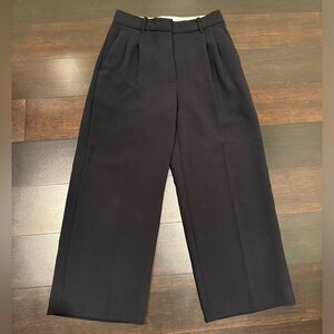 Aritzia wilfred cropped pleated pants